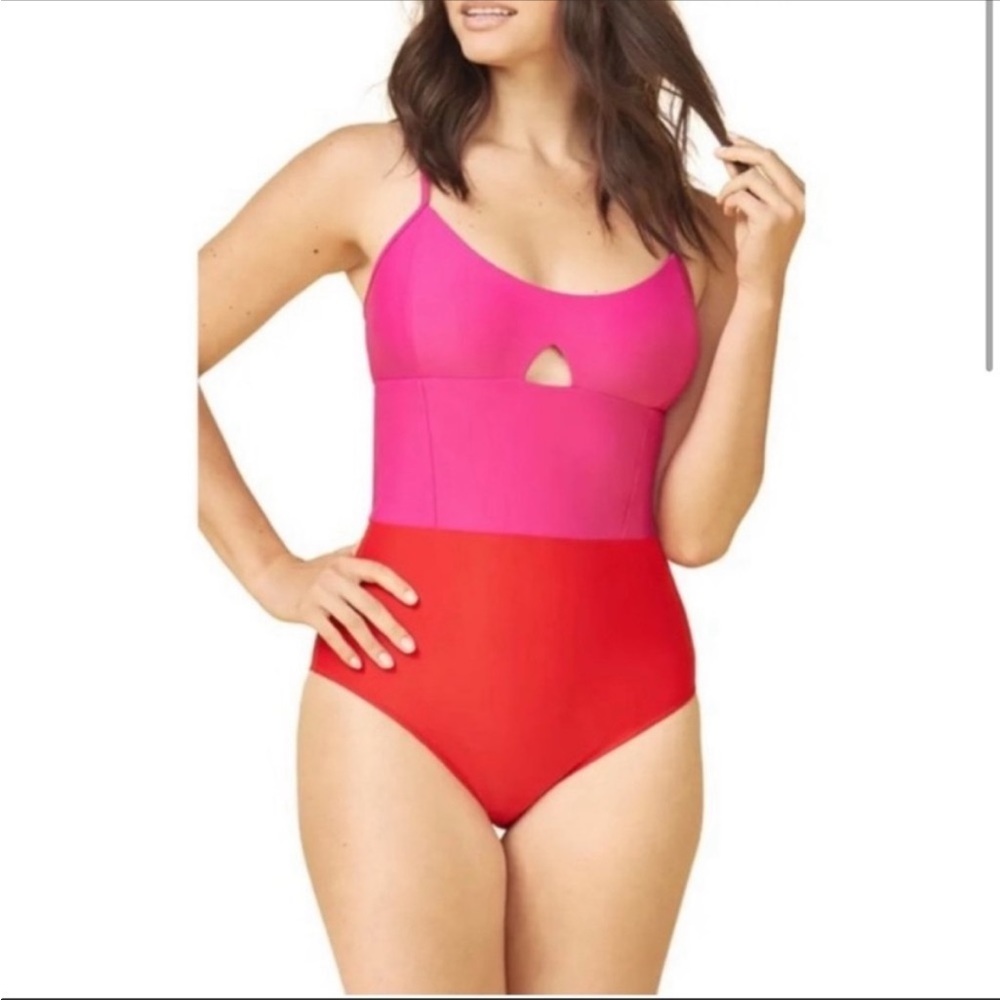 Summersalt Swan Dive One Piece Swimsuit pink red